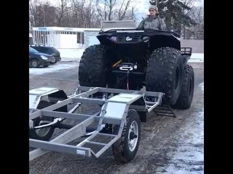 Аляска Сокол Аляска Сокол