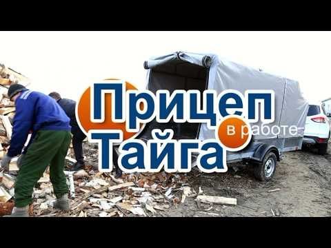 Тайга в работе Тайга в работе