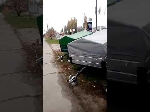 Оцинкованный Лев 2013 Оцинкованный Лев 2013